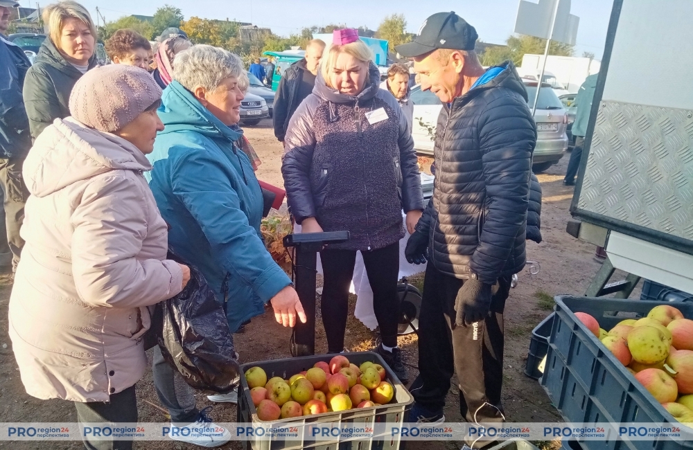 Ярмарки в Скиделе и Гродно: где запастись овощами на зиму
