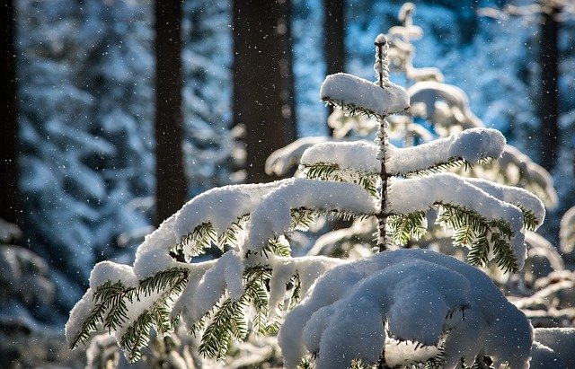 Оранжевый уровень опасности объявлен в Беларуси 13 февраля из-за сильного ветра и снега