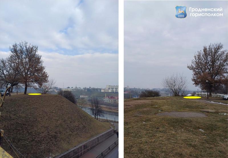 Скульптура влюбленных появится на берегу Немана в Гродно