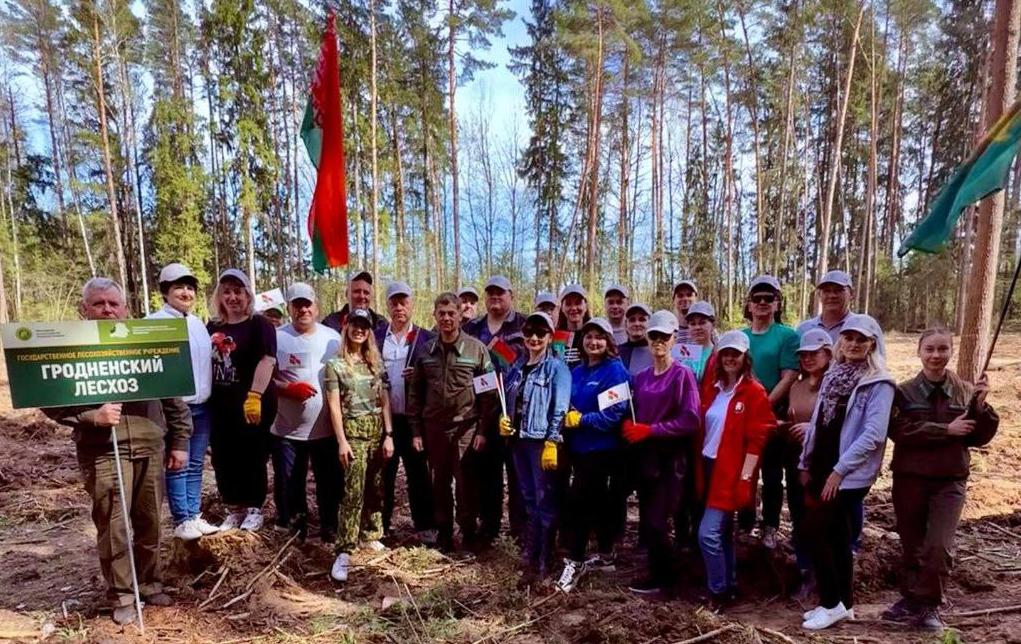 Коллектив Гродненского райисполкома принял участие в акции «Лес! Дабро! Парадак!»