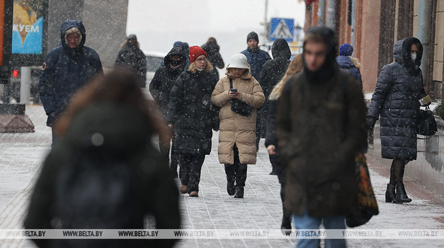 Сенатор: в Беларуси экономика и государство функционируют в интересах всех, а не избранных