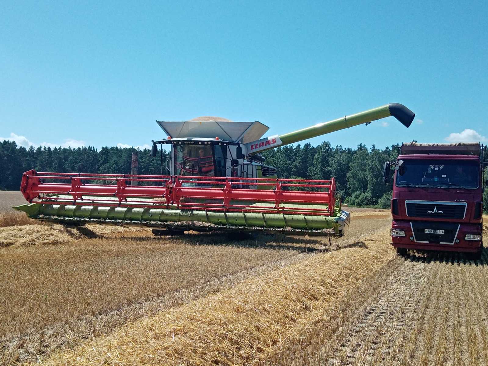 СПК имени И. П. Сенько вступил в битву за урожай