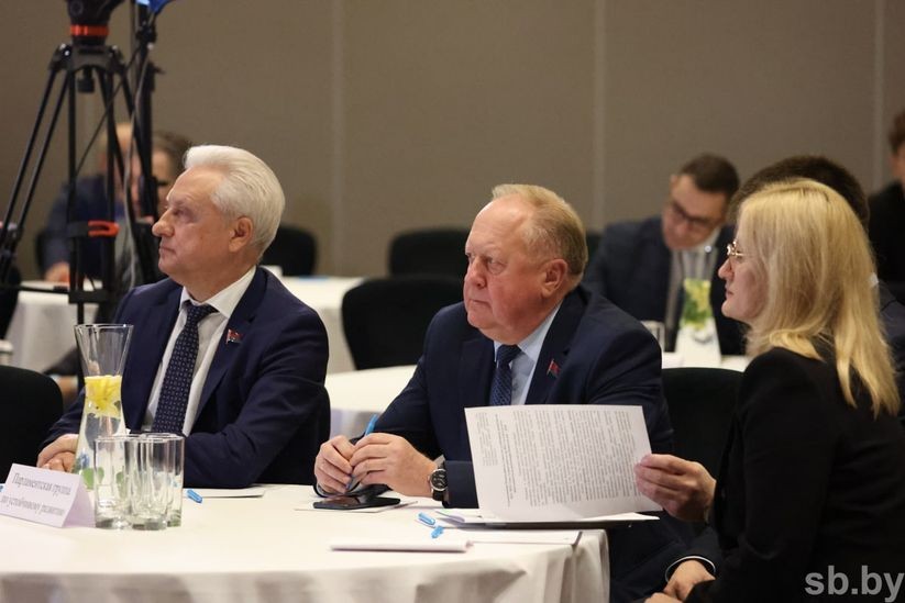 Члены Президиума Совета Республики Виктор Лискович и Сергей Рачков приняли участие в заседании Совета по устойчивому развитию