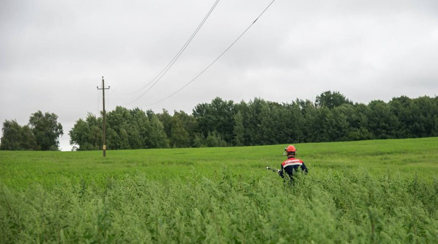 В Гродненской области электроснабжение восстановлено в 140 населенных пунктах, работы продолжаются