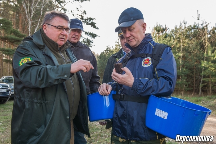 Губернатор области Владимир Кравцов садил лиственницу по новой технологии