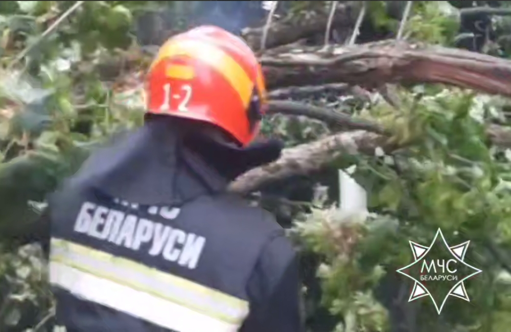 МЧС ликвидирует последствия непогоды по всей Беларуси