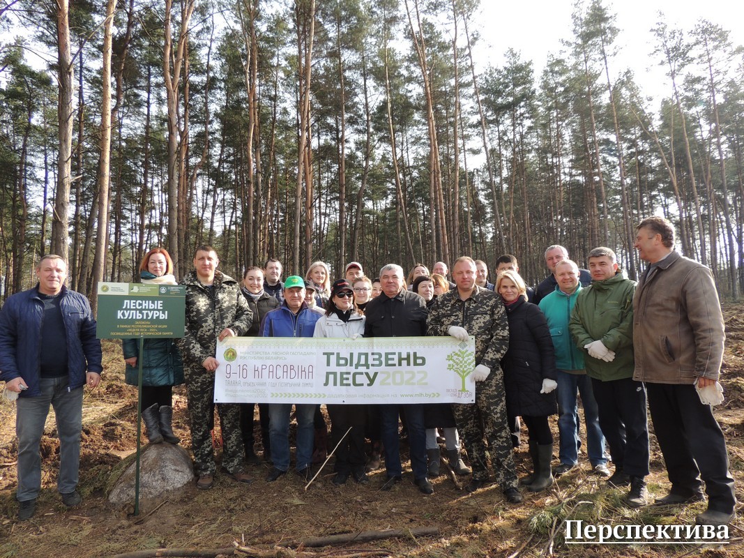 Сотрудники Гродненского райисполкома приняли участие в акции «Неделя леса»