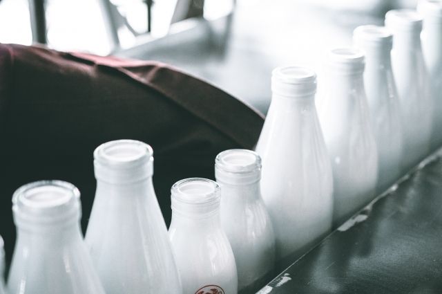 В Беларуси нашли альтернативу упаковке для молока Tetra Pak