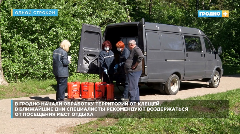 В Гродно начали обработку территорий от клещей