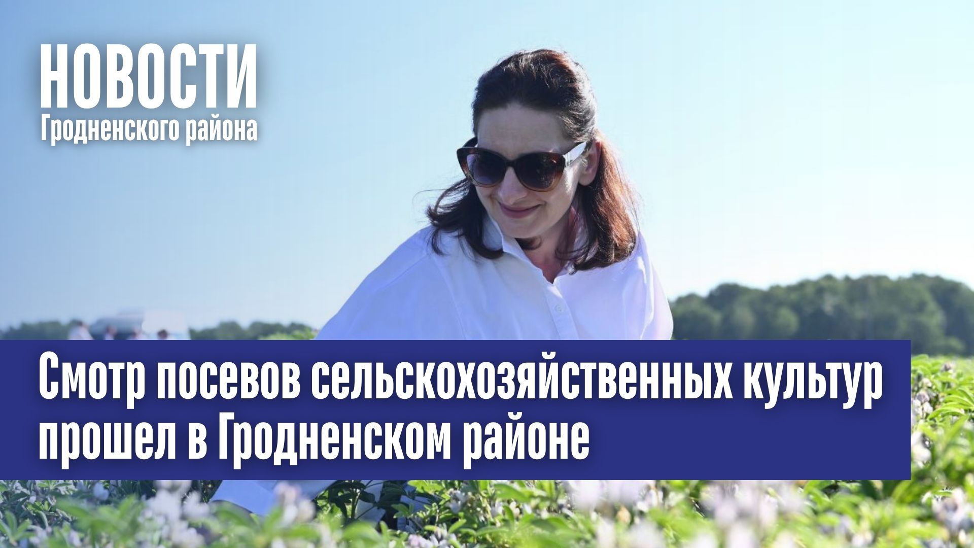  Смотр посевов сельскохозяйственных культур прошел в Гродненском районе
