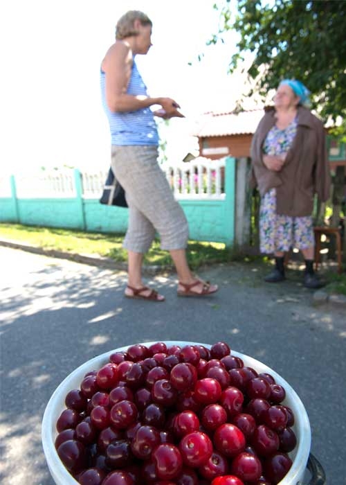 Ягодный микс на обочине