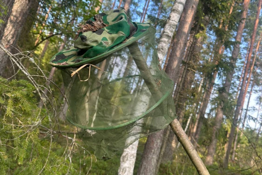 В Гродненском районе продолжаются поиски пропавшего грибника: найден его головной убор