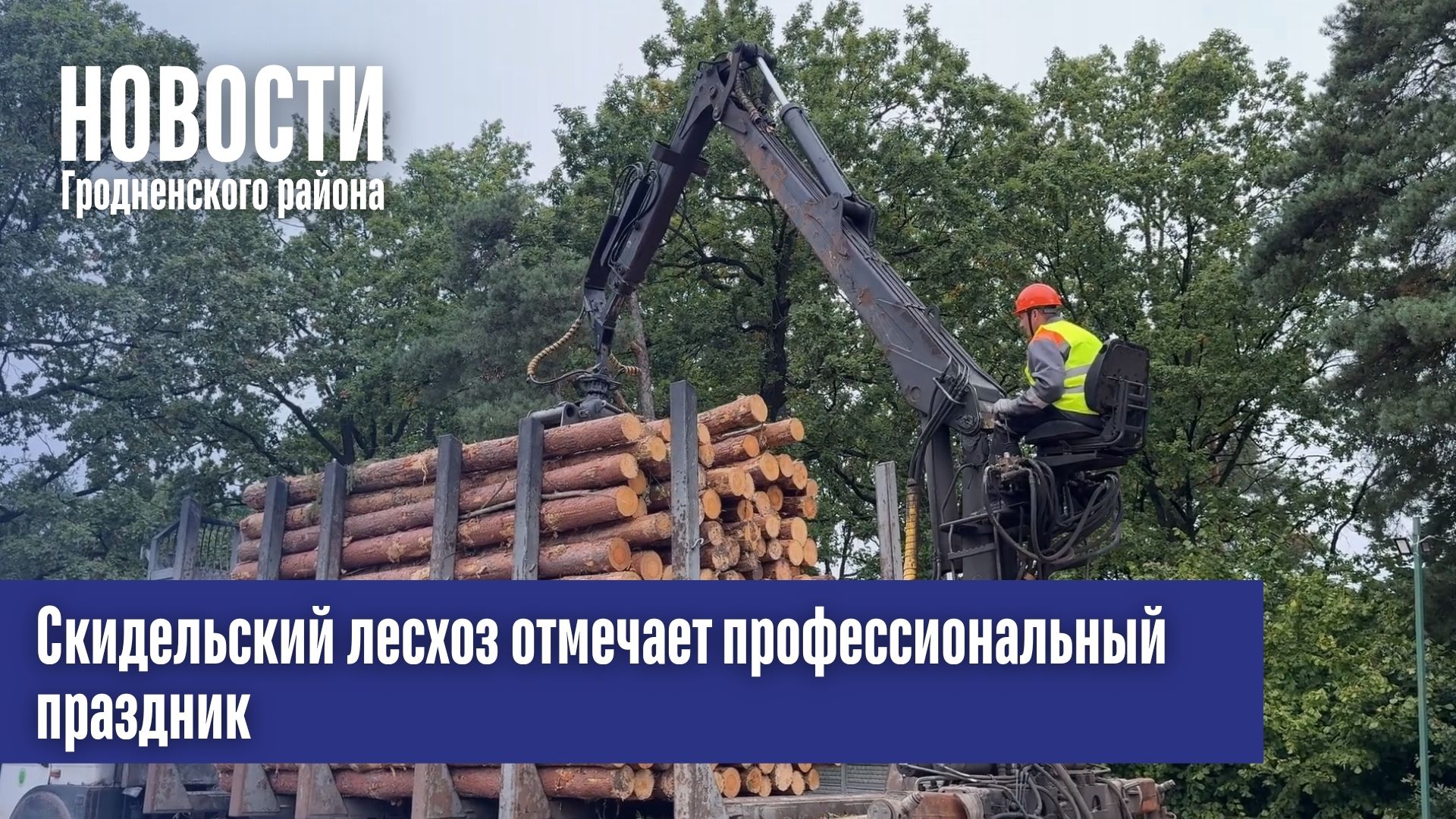 Скидельский лесхоз отмечает профессиональный праздник