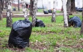 В Гродно 5 мая добровольцы выйдут, чтобы сделать свой город еще краше