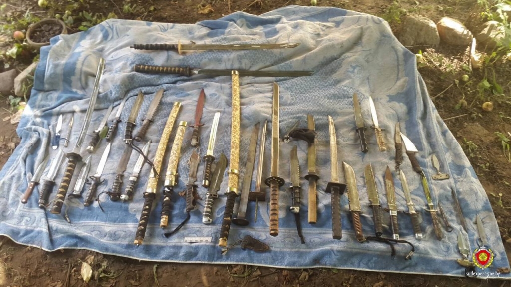 В квартире у жителя Гродно судебные исполнители нашли арсенал оружия: почти 40 ножей, сабель и пистолет (+видео)
