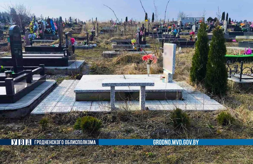 В Гродно задержана женщина, похитившая туи с кладбища