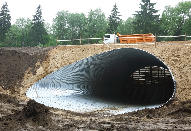 На М6 снижают риски ДТП с дикими животными