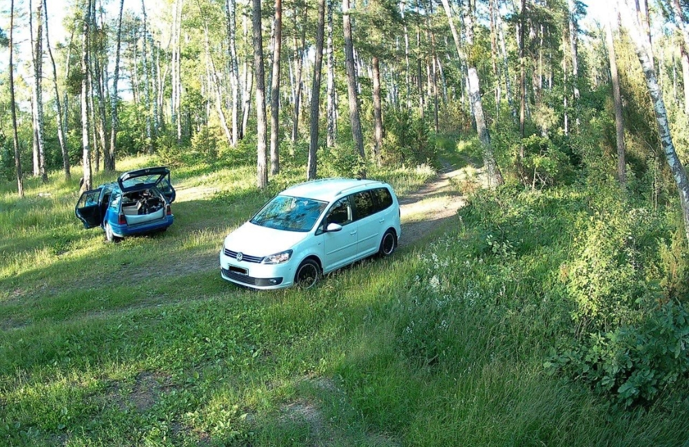 Фотоловушки зафиксировали нарушителей в заказнике «Озеры»