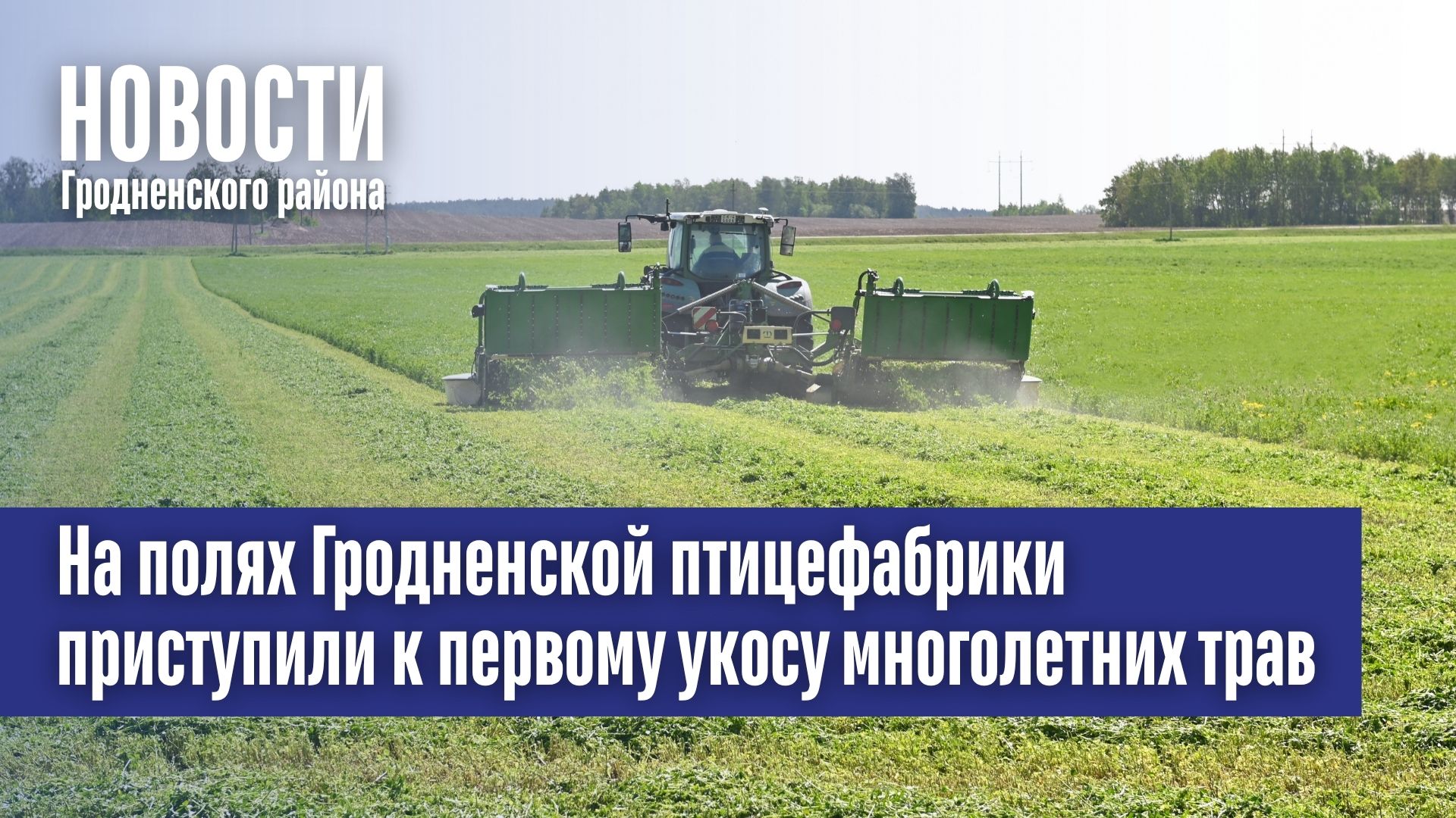 На полях Гродненской птицефабрики приступили к первому укосу многолетних трав