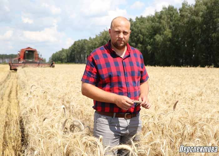 Земледельцы филиала «Скидельский» рассказали об уборочной кампании
