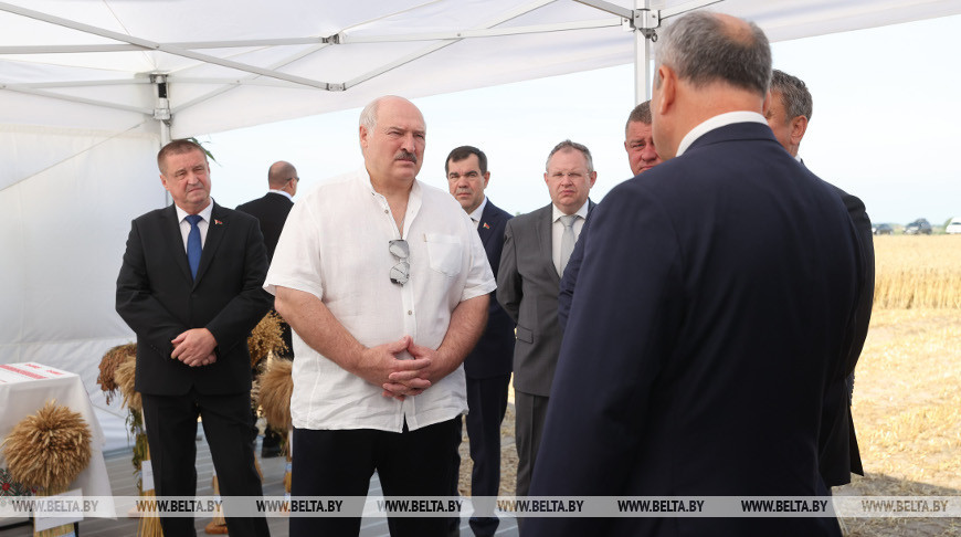 Александр Лукашенко требует не расслабляться после уборки хлебов