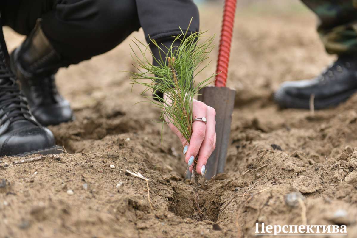 "Неделя леса" стартовала на Гродненщине 15 апреля
