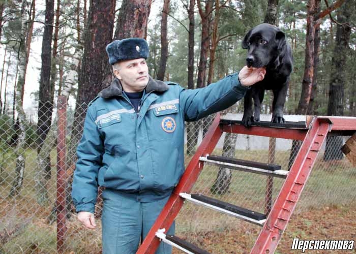 Поисковые собаки и собаки-спасатели: какие псы служат в Гродненском управлении МЧС