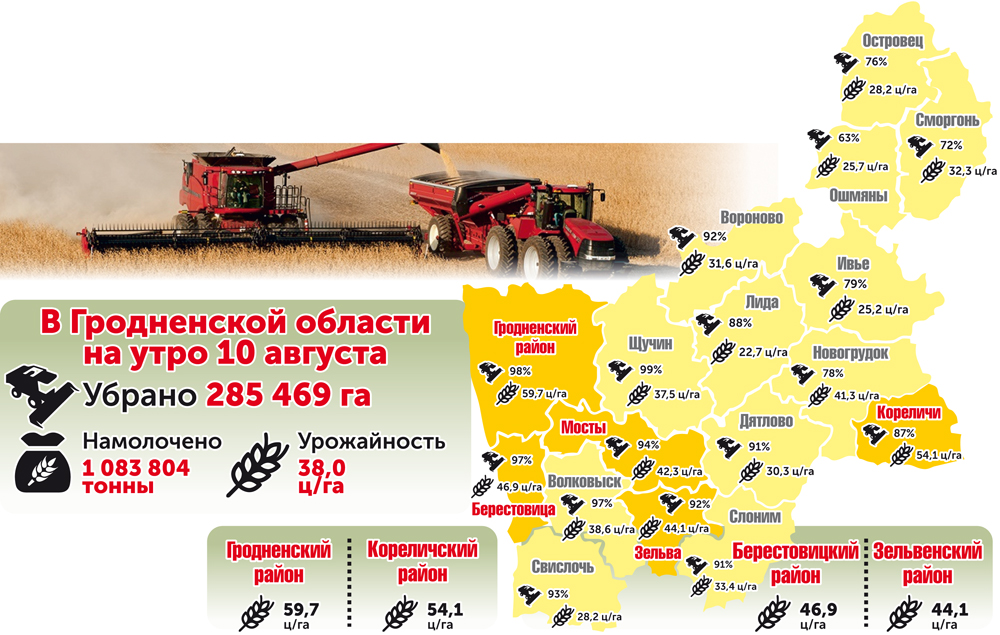 На утро 10 августа в Гродненской области намолочено 1 083 804 тонны зерна