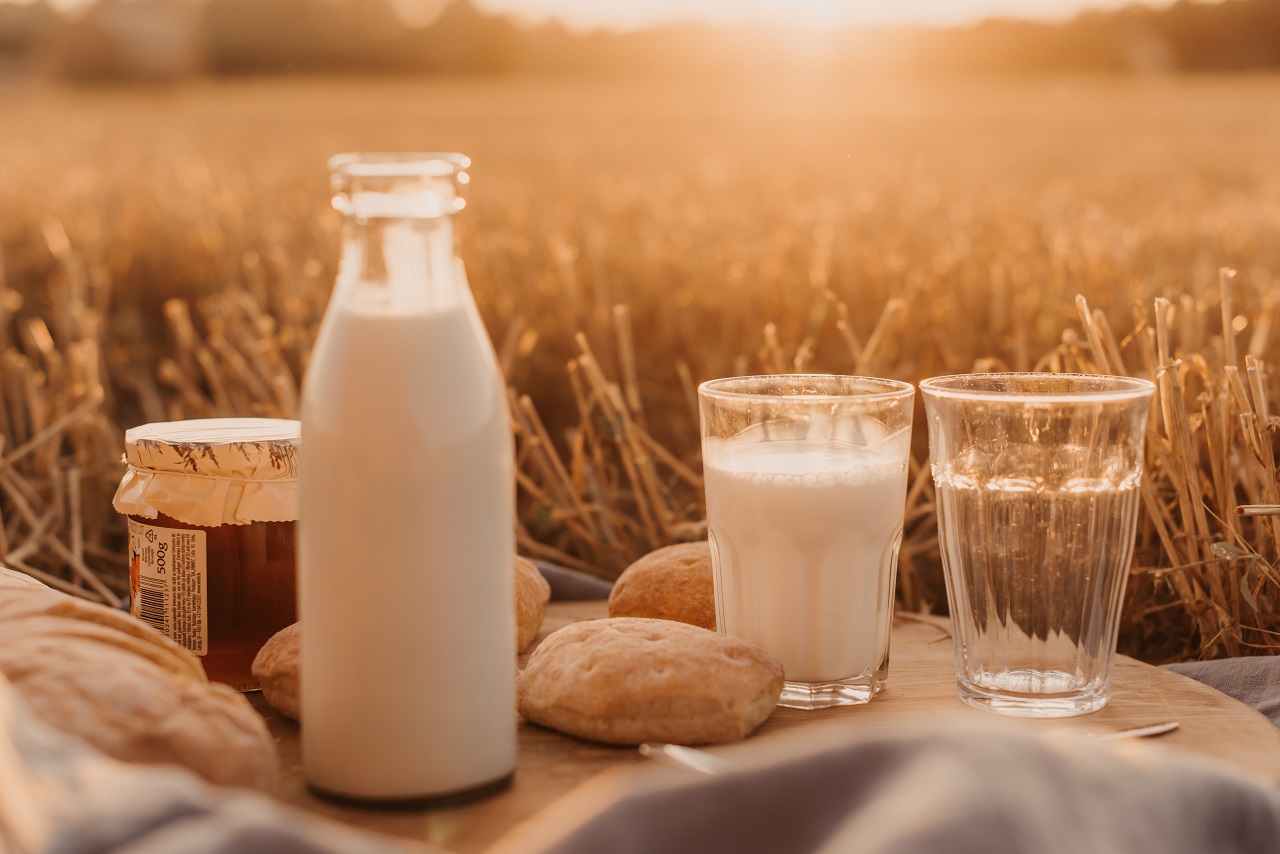 Беларусь изменила минимальные цены на молочную продукцию для некоторых стран