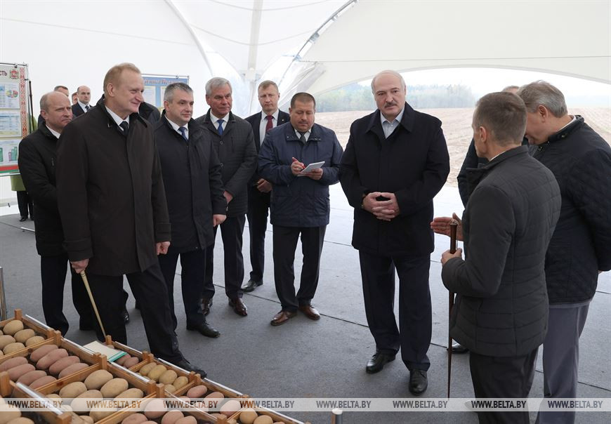 Александр Лукашенко посещает предприятие с самой высокой урожайностью картофеля в стране