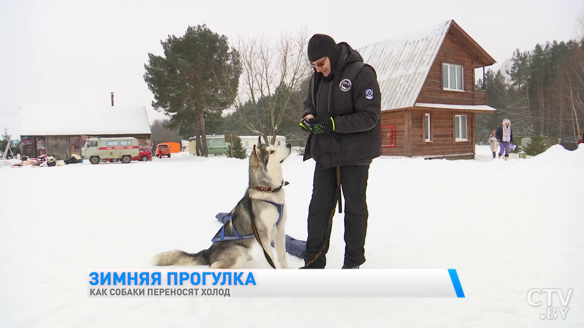 Как правильно выгуливать собаку зимой, чтобы не допустить переохлаждения?