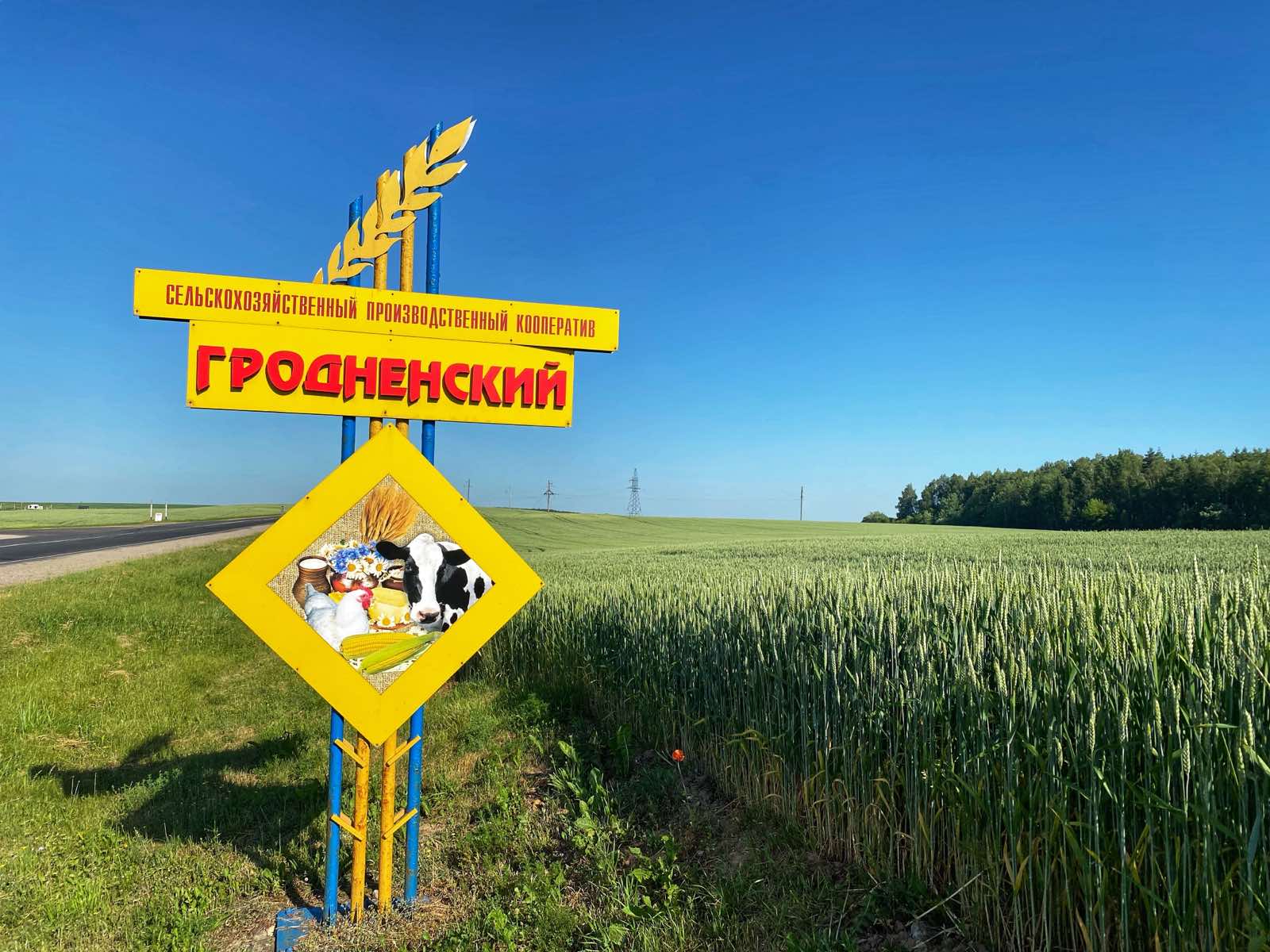 Уважаемые труженики СПК «Гродненский», уважаемые ветераны труда и руководство! Поздравляем вас с юбилеем!