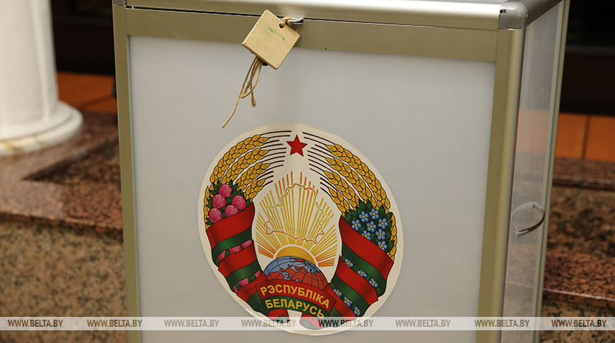 Игорь Карпенко: у международных наблюдателей на референдуме хорошее впечатление