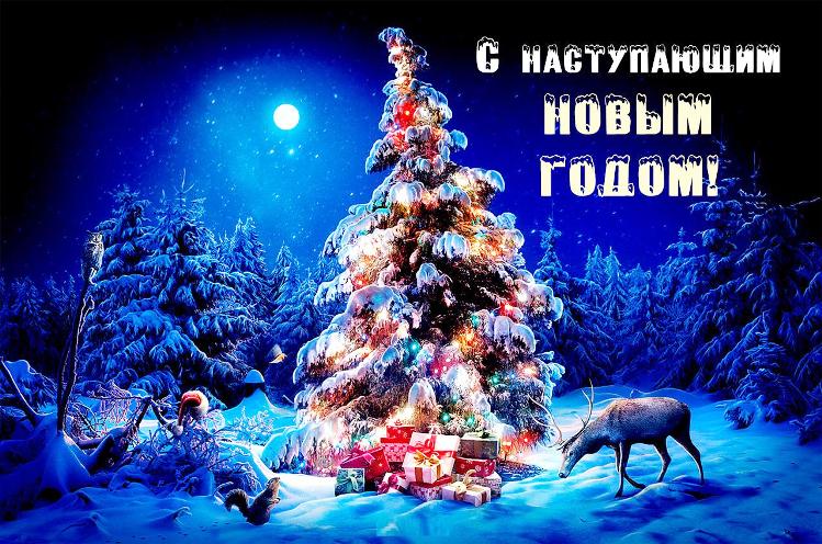 С Новым годом! Поздравление Гродненского районного исполнительного комитета и Гродненского районного Совета депутатов