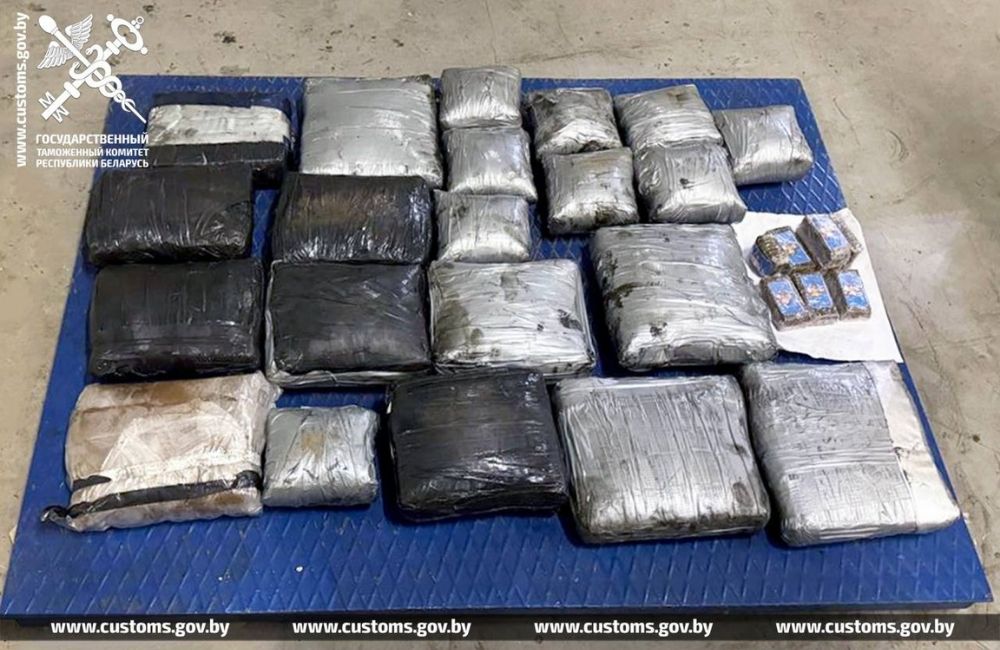 Молдованин пытался ввести в Беларусь 38 кг гашиша