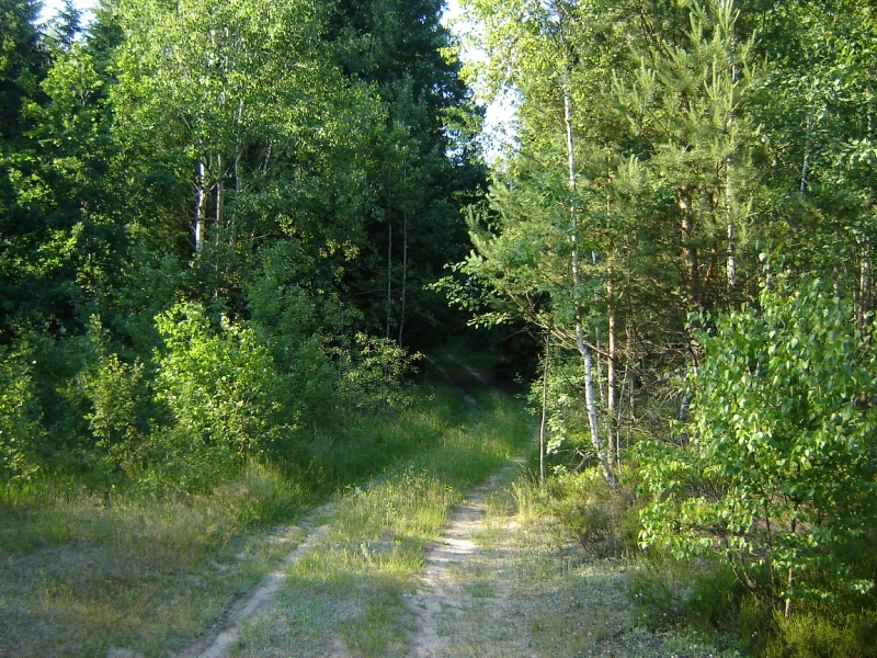 Гродненская область принимает эстафету экокампании «Обустроим малую родину»