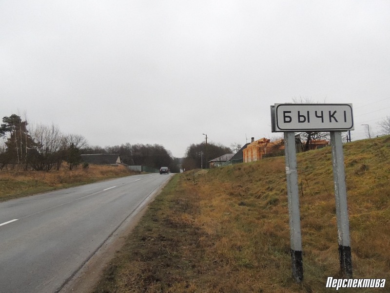 Чего ждут от наступающего года жители деревни Бычки
