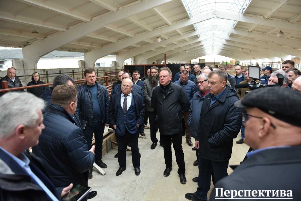 Положительный опыт и щедрая «ложка дегтя»: семинар по животноводству прошел на базе ПК имени В. И. КРЕМКО