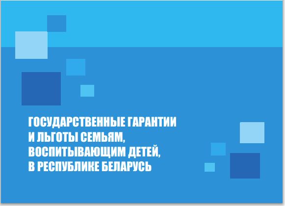 Государственные гарантии и льготы семьям, воспитывающим детей, в Республике Беларусь