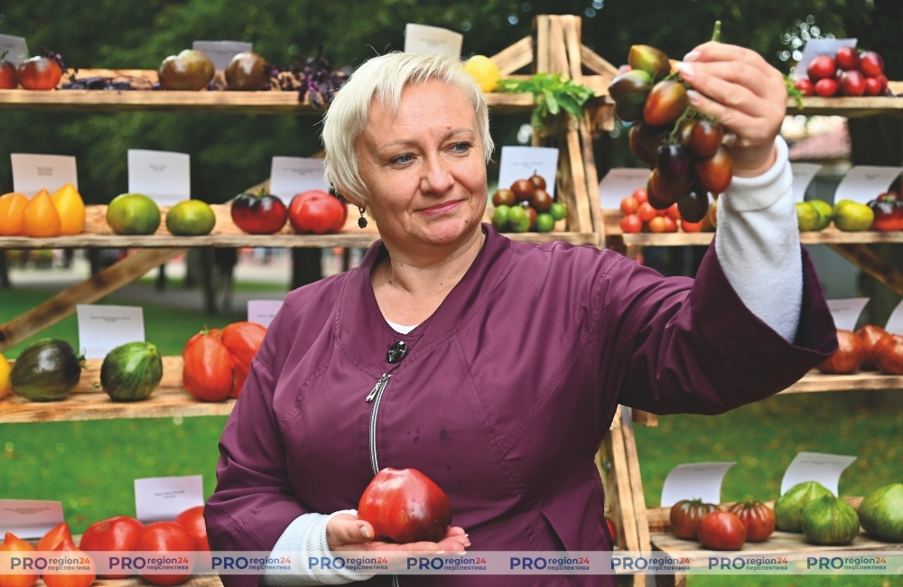 Где в Гродно пройдут осенние сельхозярмарки?