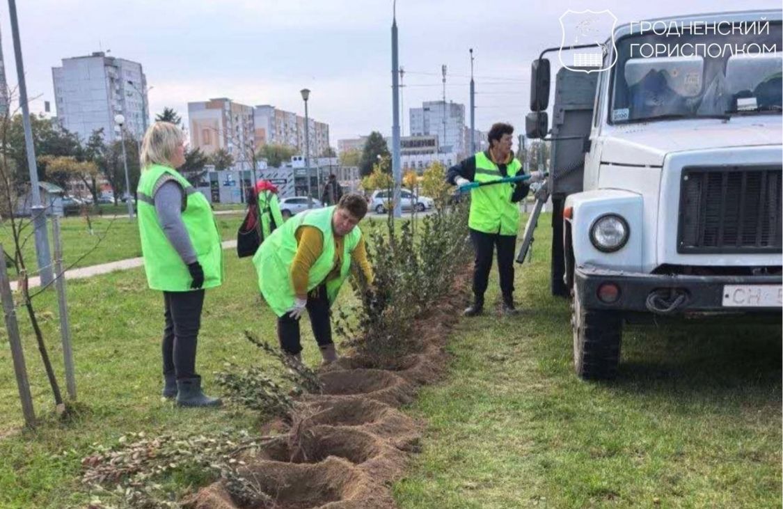 В Гродно расставили приоритеты благоустройства В Гродно расставили приоритеты благоустройства