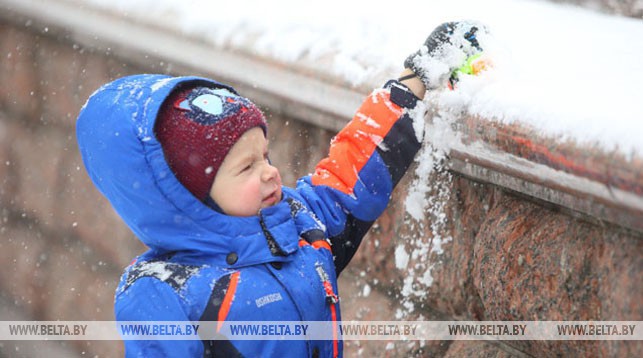 ФОТОФАКТ: Сильный снег прошел в Гродно