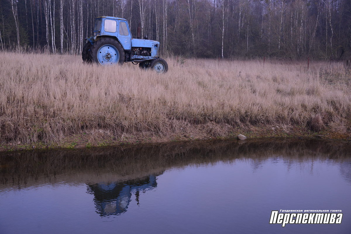 Чернуха