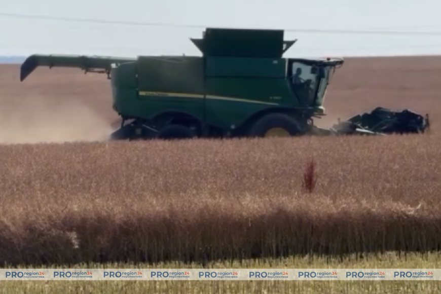 «Производственный маршрут»: как делают рапсовое масло в СПК имени Деньщикова