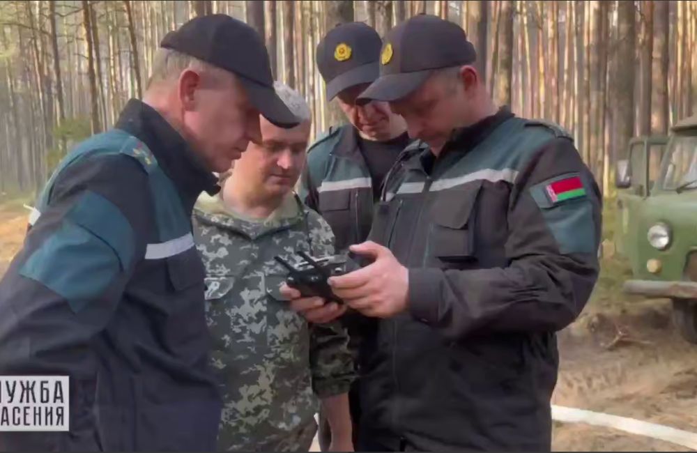 Свежие кадры с места тушения лесного пожара в Гродненском районе