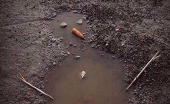 Ни сугробов, ни мороза