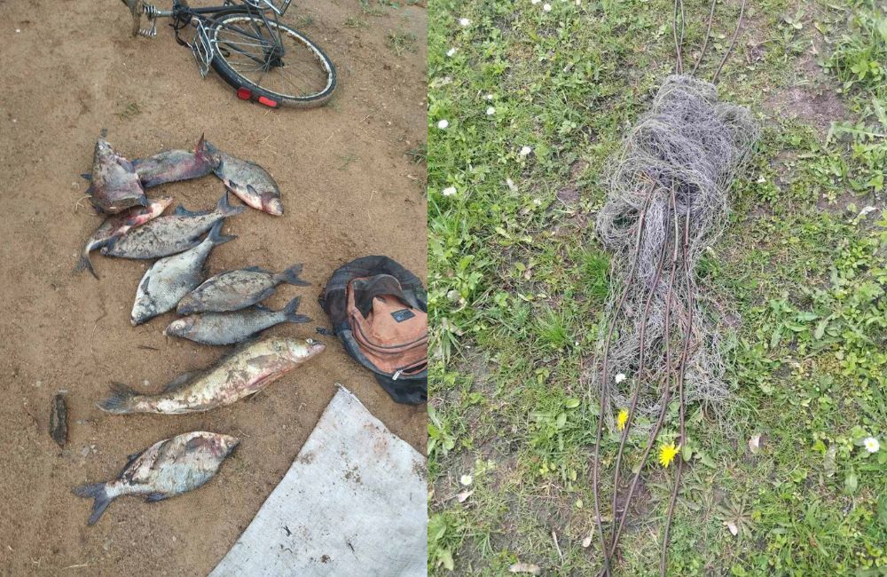 В Гродненском районе поймали водных браконьеров