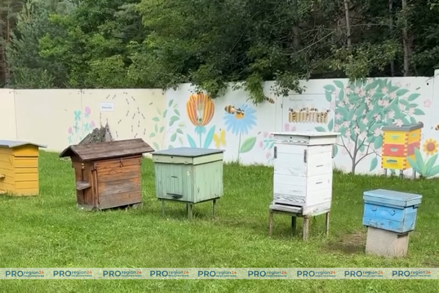 «Мядовы шлях»: как производят мёд в агрогородке Поречье?