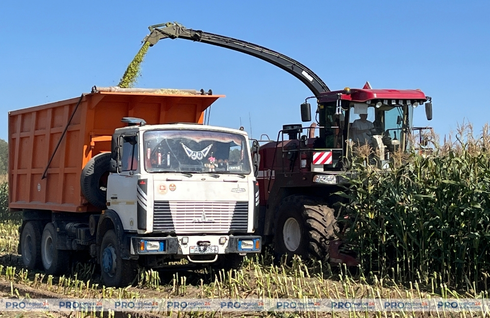 До 20 октября в Гродненской области должны завершить уборку кукурузы на силос