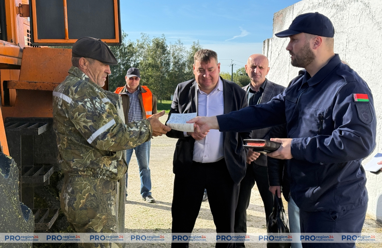 Насколько безопасна закладка кукурузы на силос в Гродненском районе?
